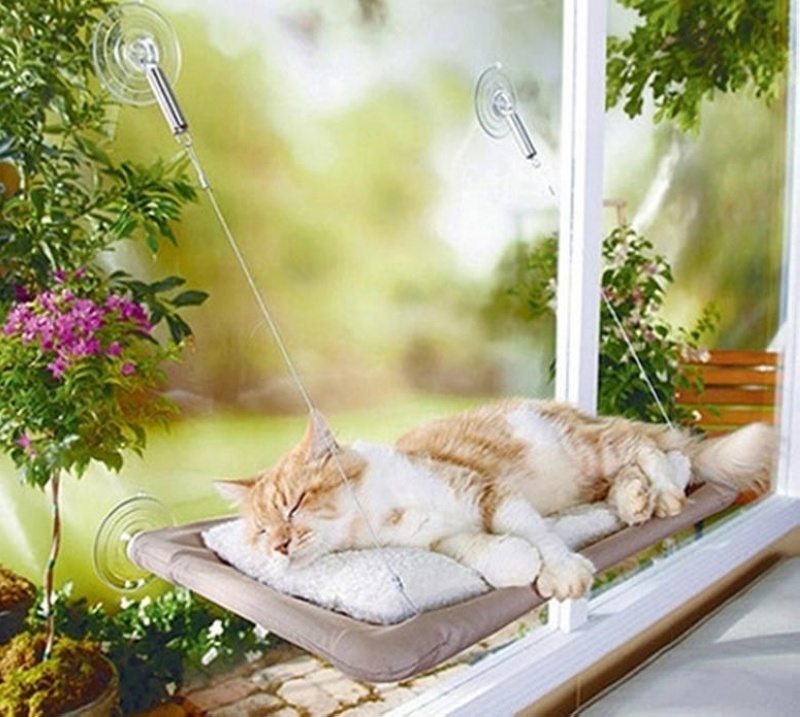 Sunny Seat Cama Asılan Kedi Yatağı